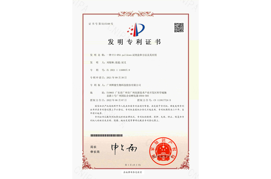 輝駿生物FII-RNA pull down試劑盒和方法及其應(yīng)用專利證書，F(xiàn)2-RNA pull down試劑盒-強親和力/操作簡便/周期短/價格低